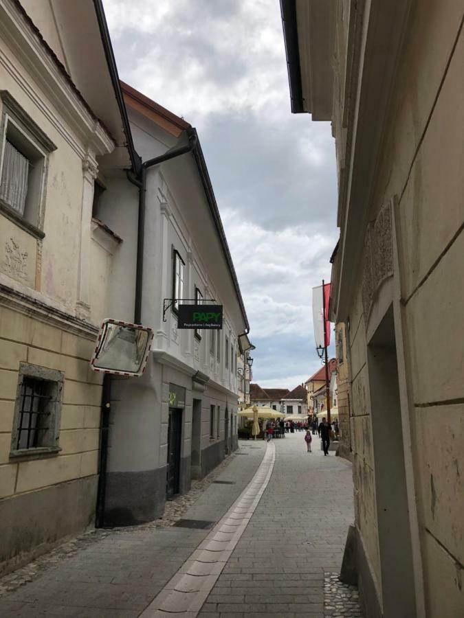 Apartma Linhartov Trg Radovljica Buitenkant foto